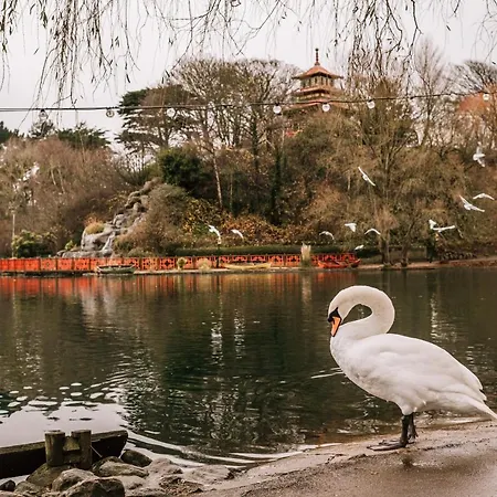 Park View & Scarborough