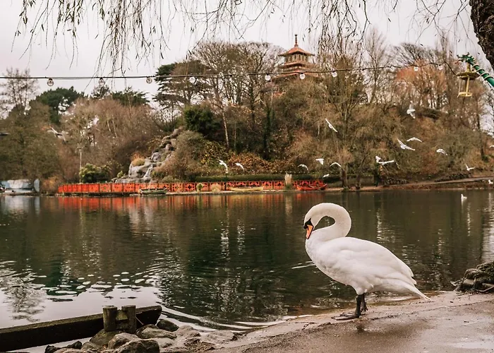 Park View & Scarborough